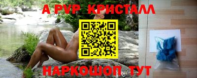 индика Кингисепп