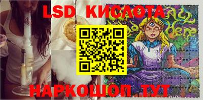 индика Кингисепп
