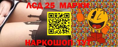 индика Кингисепп