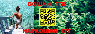 индика Кингисепп