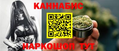 индика Кингисепп