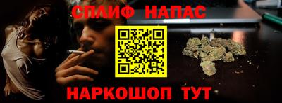 индика Кингисепп