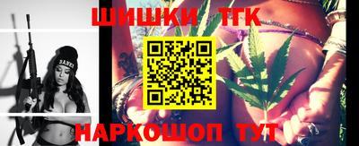 индика Кингисепп