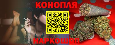 индика Кингисепп