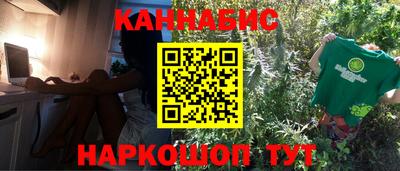 индика Кингисепп