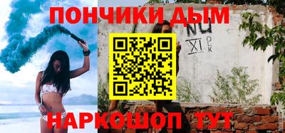 индика Кингисепп