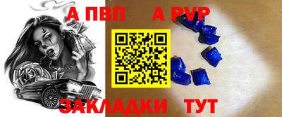 индика Кингисепп