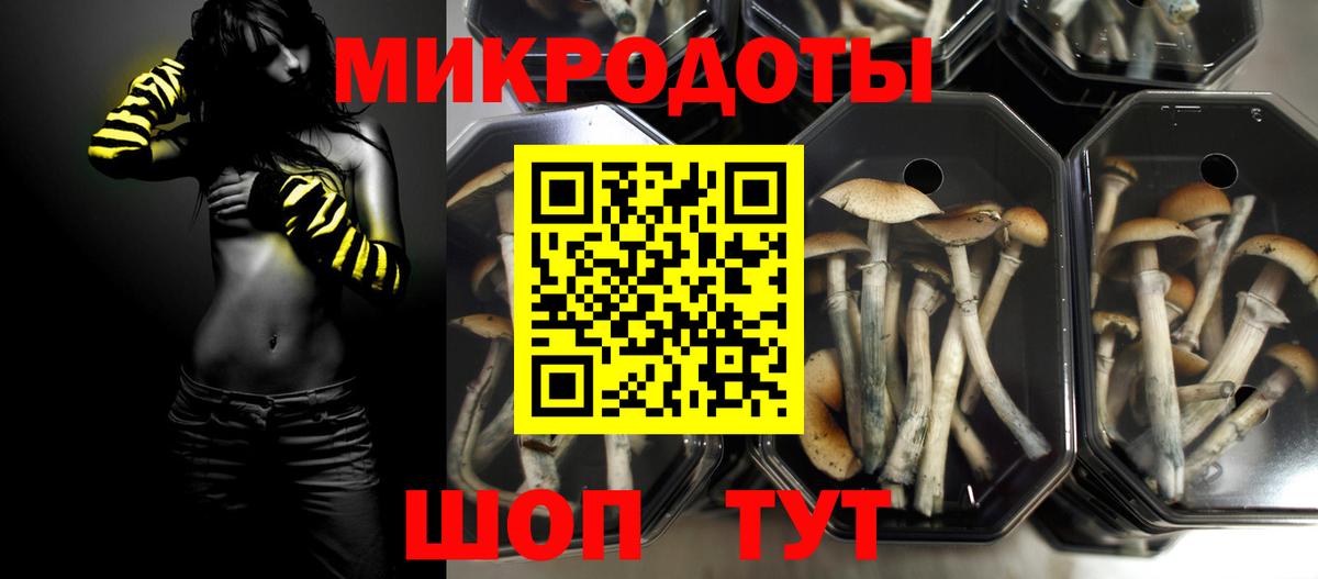 Псилоцибиновые грибы ЛСД  Вход с VPN  Кирово-Чепецк  как найти наркотики  Галлюциногенные грибы прущие грибы 